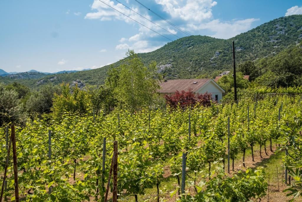 Дома для отпуска Lotos lake house Цетине-29