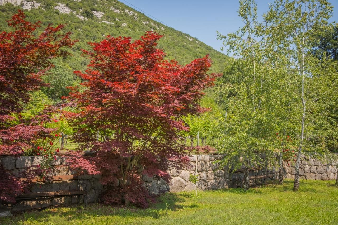 Дома для отпуска Lotos lake house Цетине-9