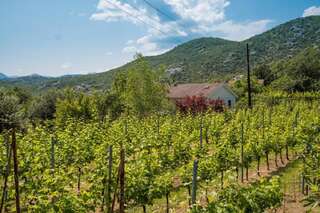 Дома для отпуска Lotos lake house Цетине Дом с 2 спальнями-26