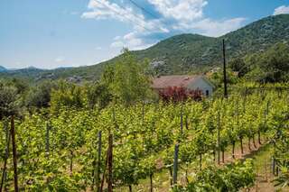 Дома для отпуска Lotos lake house Цетине Дом с 2 спальнями-5