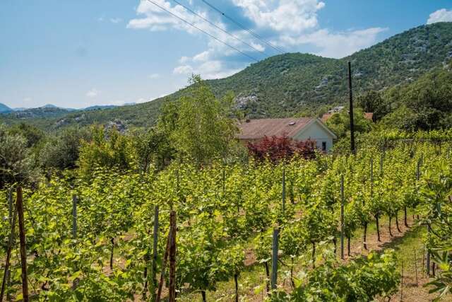 Дома для отпуска Lotos lake house Цетине-28