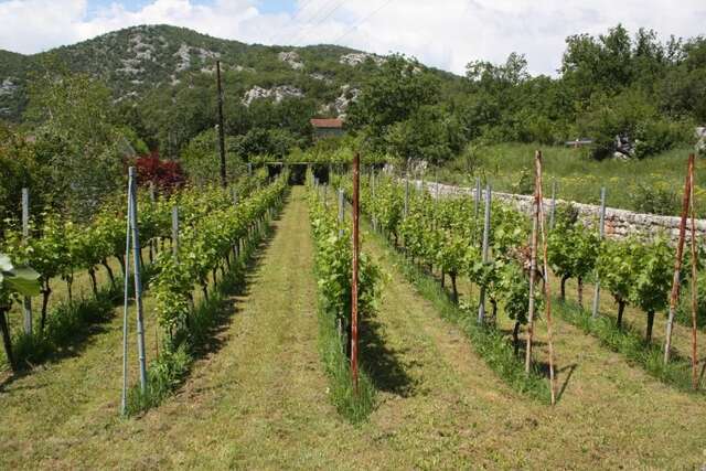 Дома для отпуска Lotos lake house Цетине-34